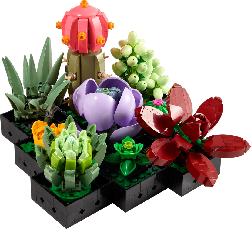 LEGO Succulents set 10309 - Botanicals theme