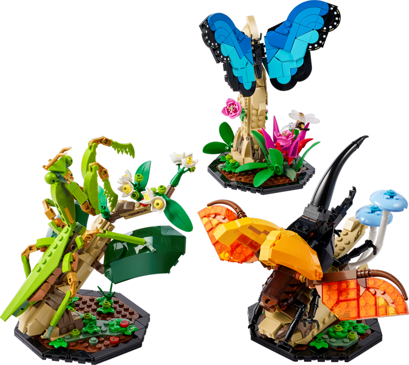 LEGO The Insect Collection set 21342 - Ideas theme