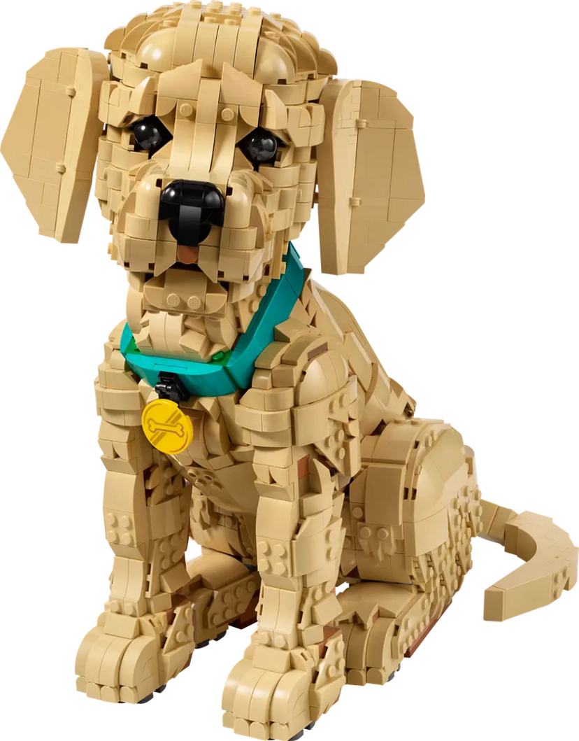LEGO Golden Retriever Puppy set 11384 - Icons theme
